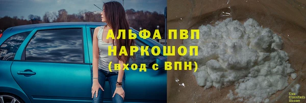 гидра Алексеевка