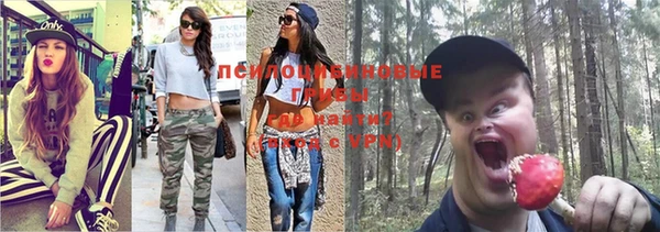 бошки Алексин