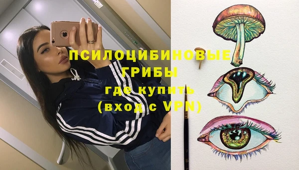 бошки Алексин