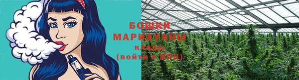 бошки Алексин