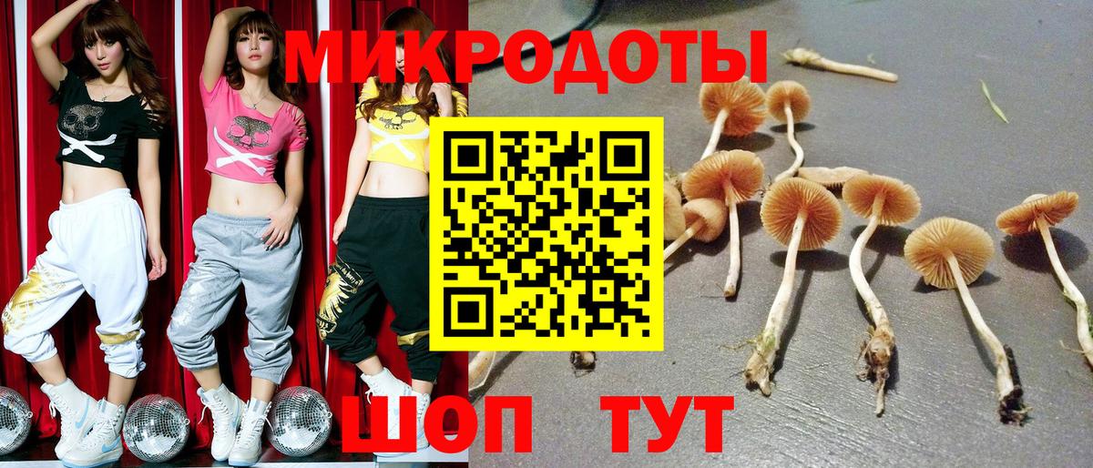 Галлюциногенные грибы мицелий  Галлюциногенные грибы Psilocybine cubensis  Вход с VPN  Лесосибирск 